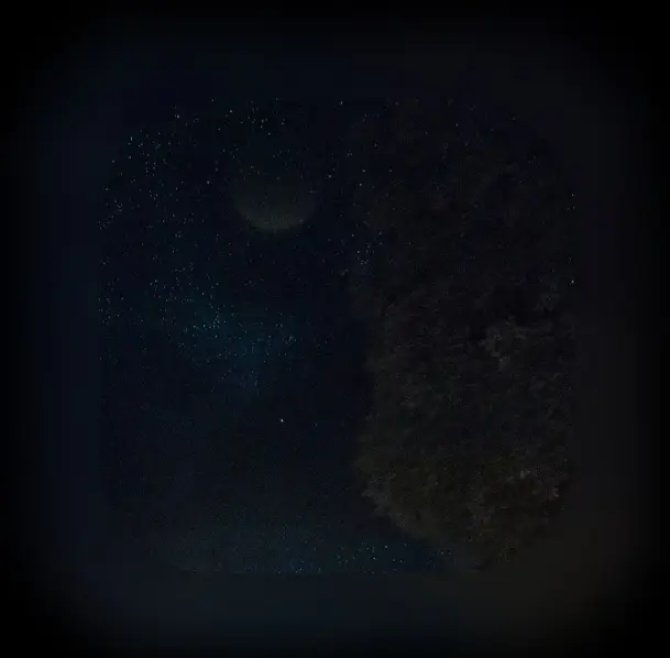 Image from Frida