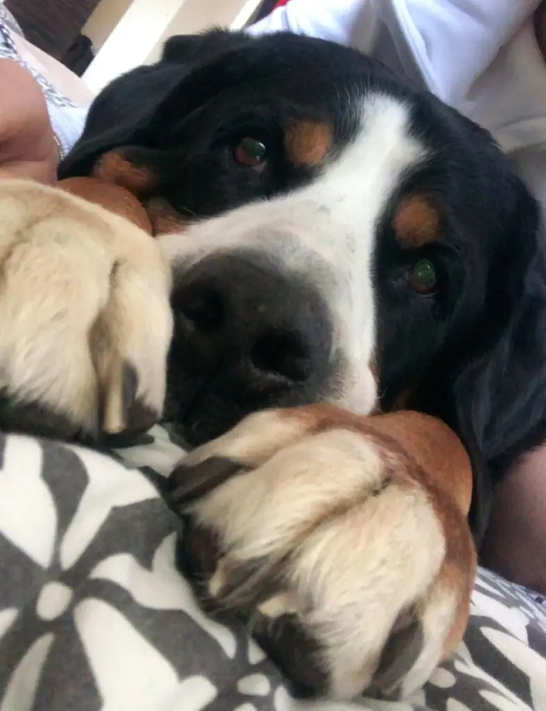 Image from Nelly