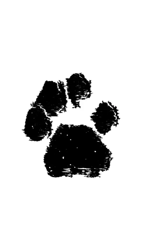 Image from Nike