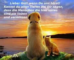Condolence image of Annemarie und Elke mit Snoopy im Herzen gest.04.01.2022