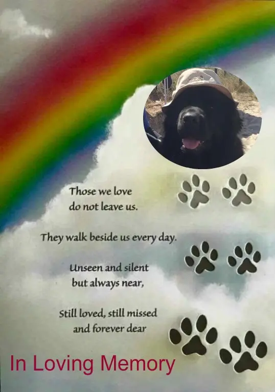 Condolence image of ❤️❤️❤️❤️❤️❤️❤️❤️❤️❤️❤️❤️