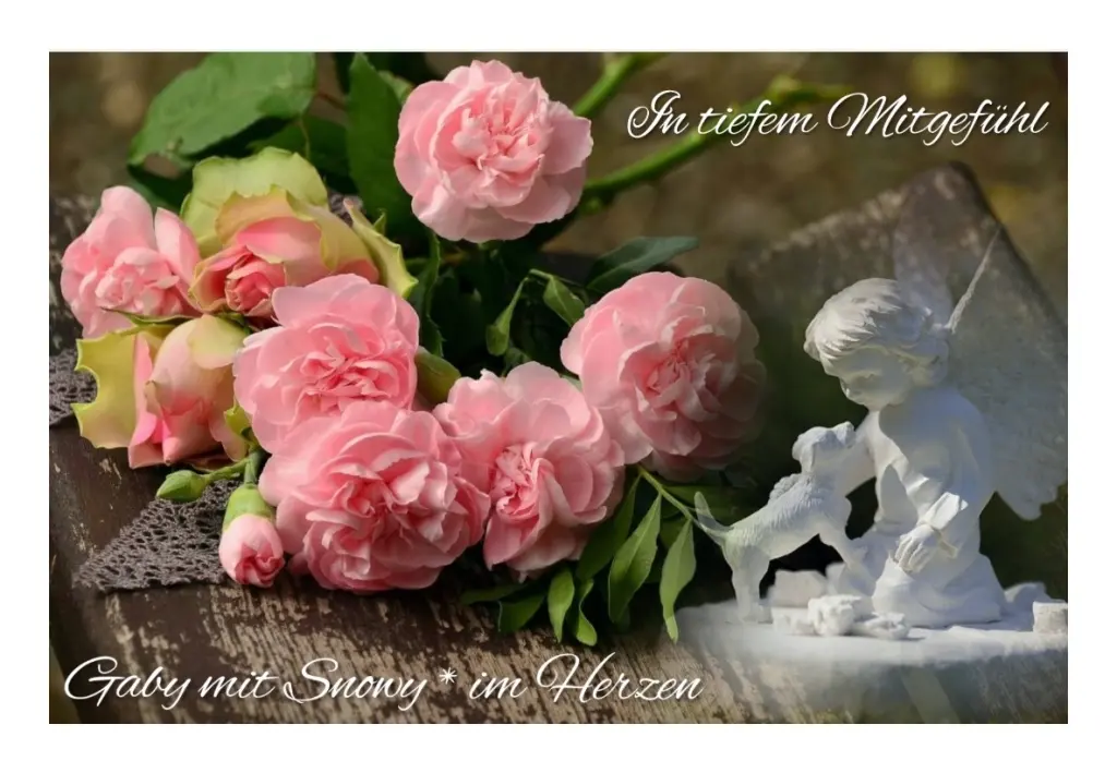 Condolence image of Gaby mit Snowy* im Herzen