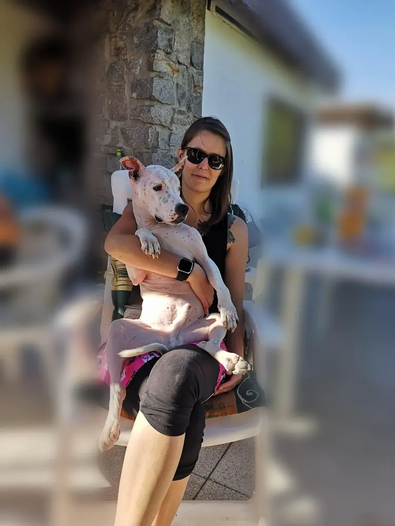 Image from Ayk
