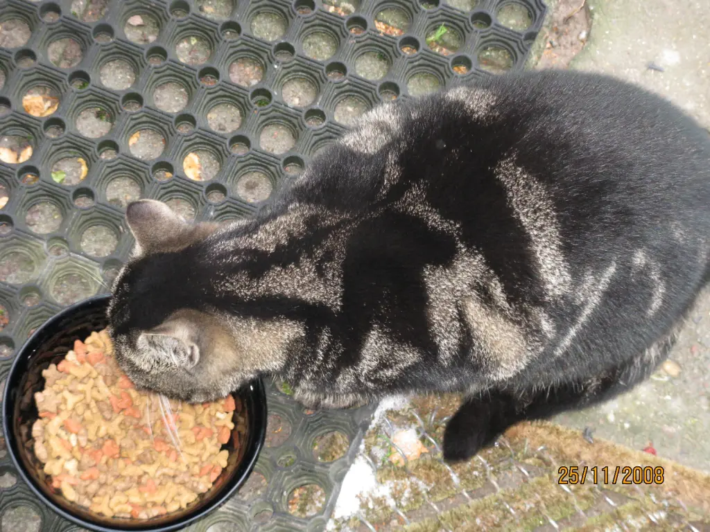 Andachtsbild von Martina Blümke