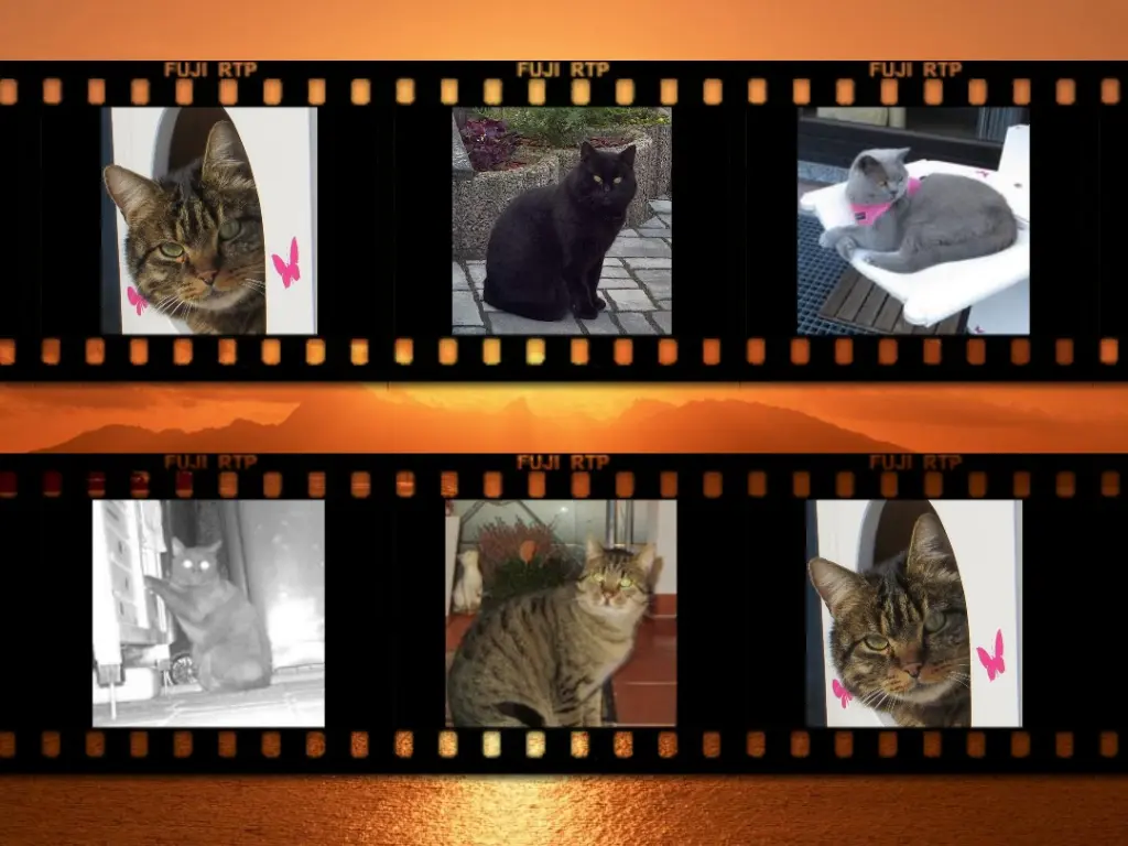 Andachtsbild von Angelika