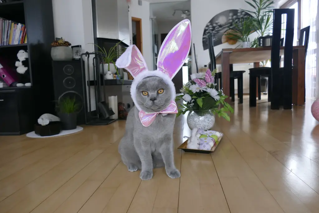 Andachtsbild von Carmen und Mario