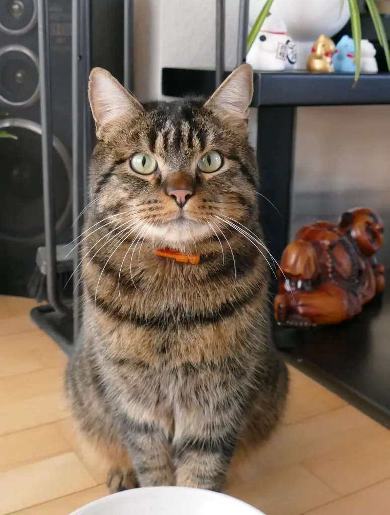 Andachtsbild von Carmen und Mario