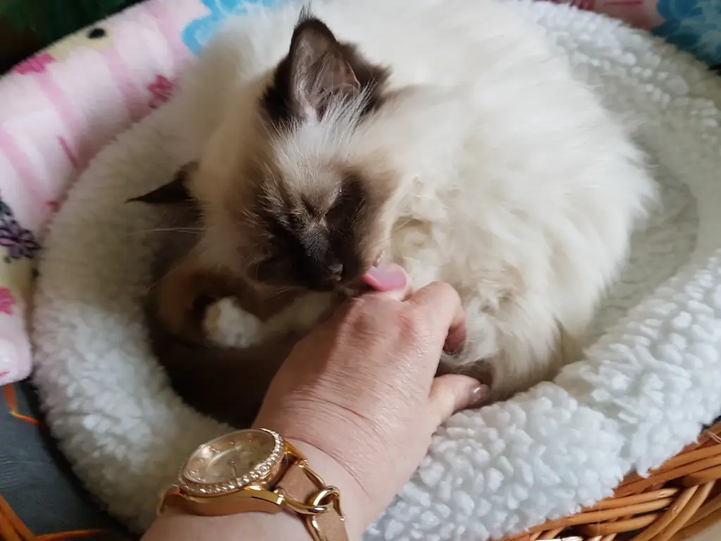 Andachtsbild von Martina Blümke