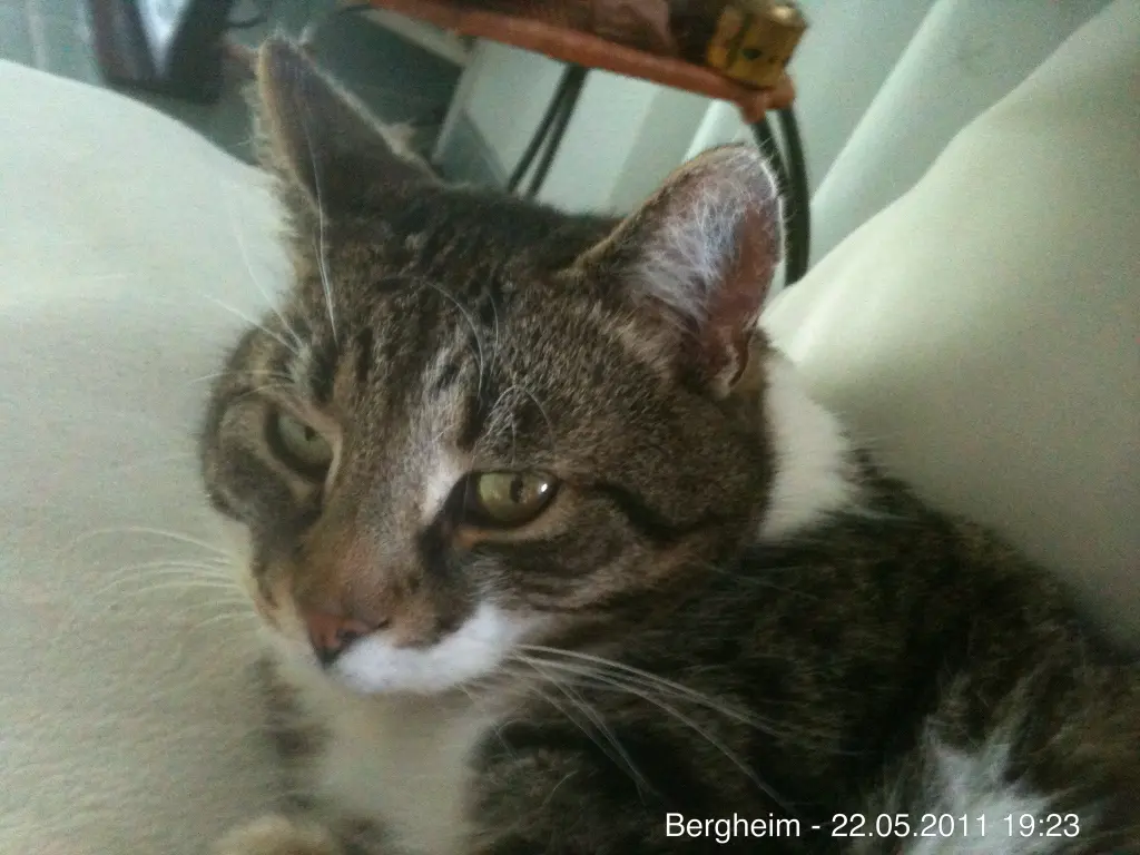 Image from Theo