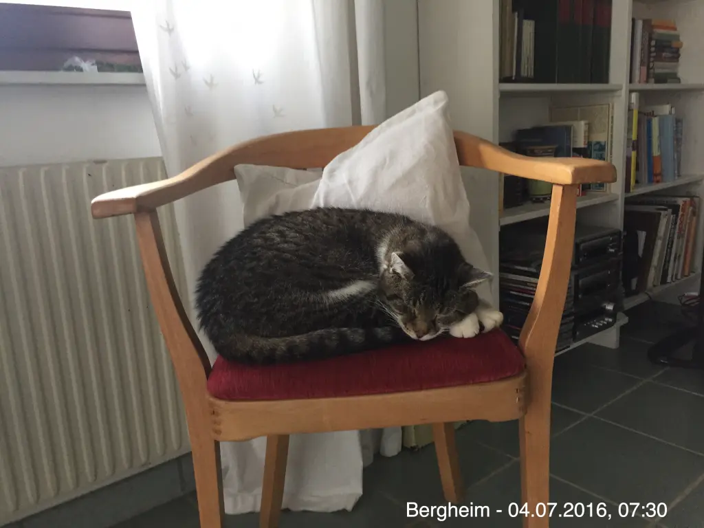 Image from Theo