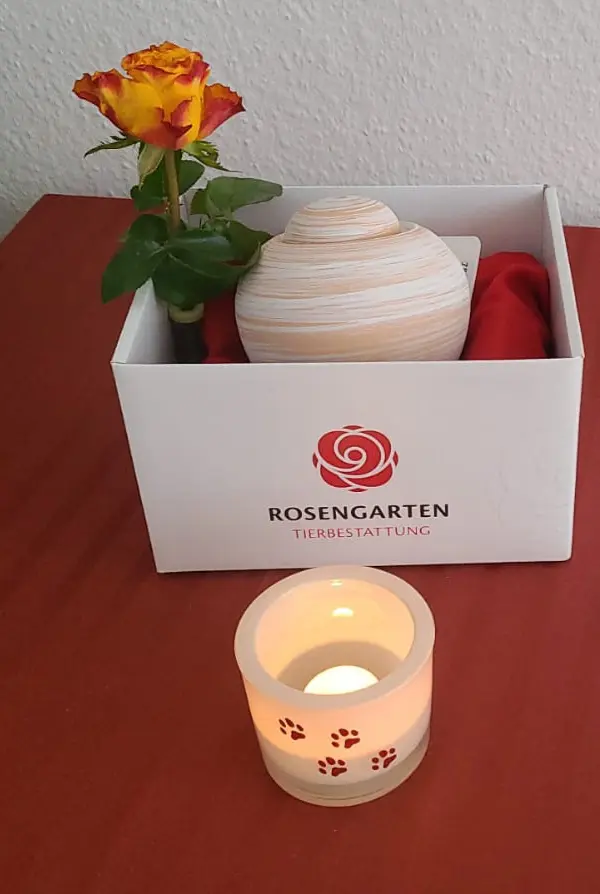 Condolence image of Für Foxi❤