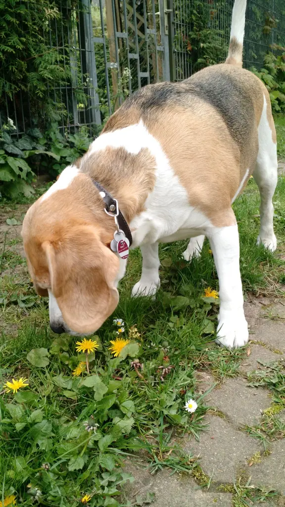 Image from Bremmy