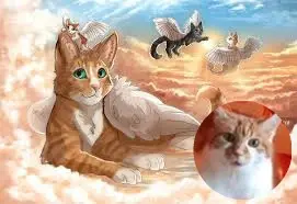 Condolence image of Fur Bobeleleinchen❤️