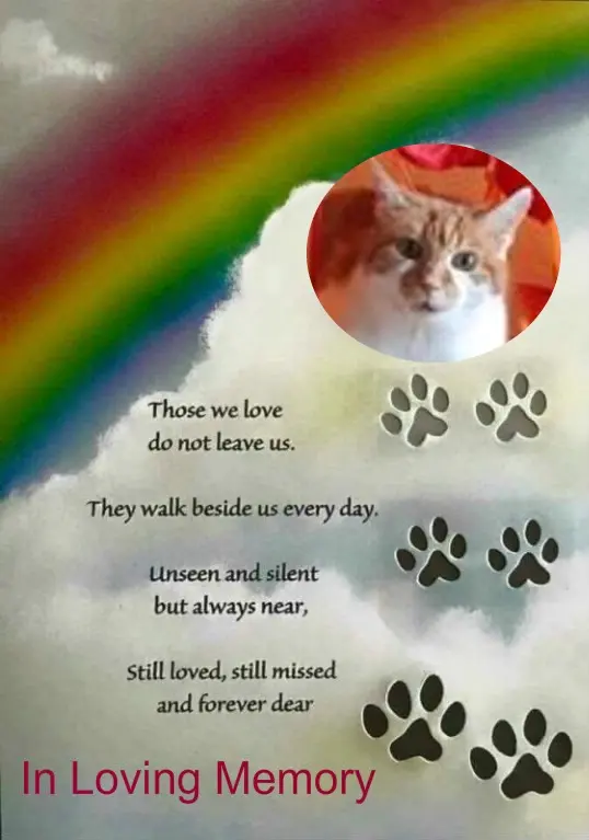 Condolence image of ❤️❤️❤️❤️❤️❤️❤️❤️❤️❤️❤️❤️