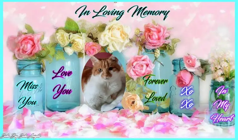 Condolence image of ❤️❤️❤️❤️❤️❤️❤️❤️❤️❤️❤️❤️