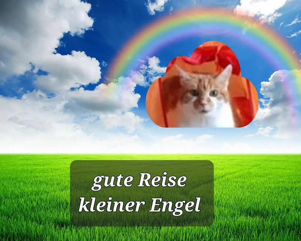 Condolence image of Jutta mit Purzel tief im Herzen  ✟ 08.05.2016 