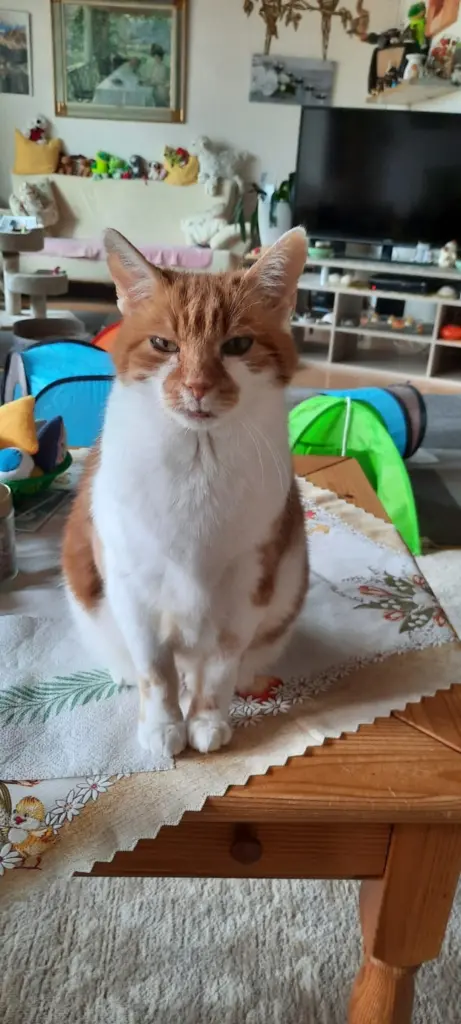 Condolence image of ❤️7 Wochen❤️Deine Mami und deine Ömi ❤️ 