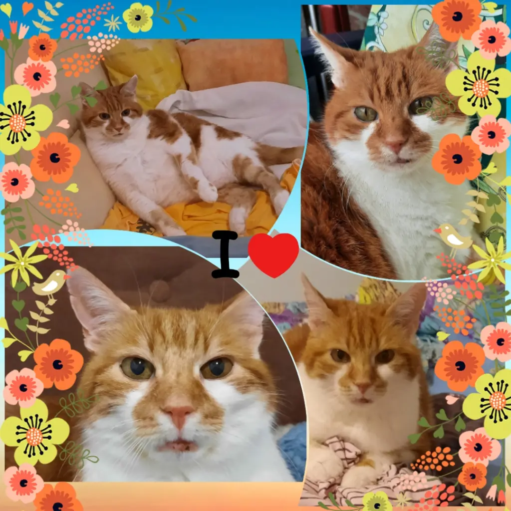 Condolence image of ❤️2 Monate ❤️Deine Mami und deine Ömi ❤️ 