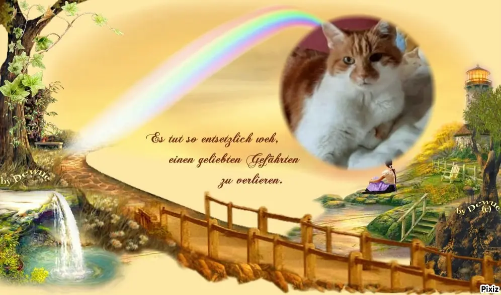 Condolence image of Tanja mit Timmy im Herzen 
