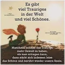 Condolence image of Anja mit Maja & Gräuli im ༺❤️༻