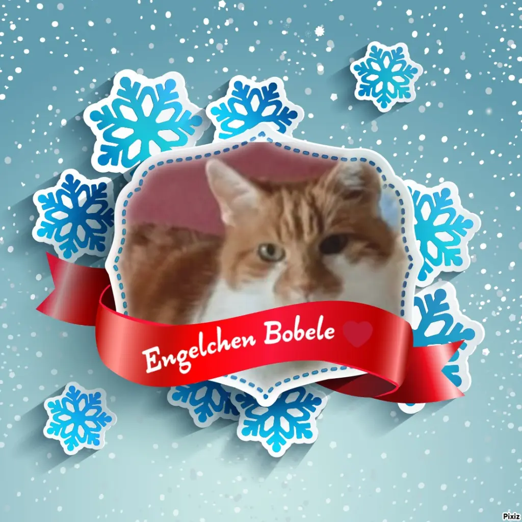 Condolence image of Tanja mit Timmy im Herzen