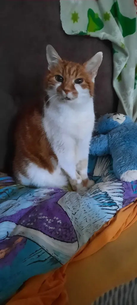 Condolence image of ❤️5 Monate ❤️Deine Mami und deine Ömi ❤️