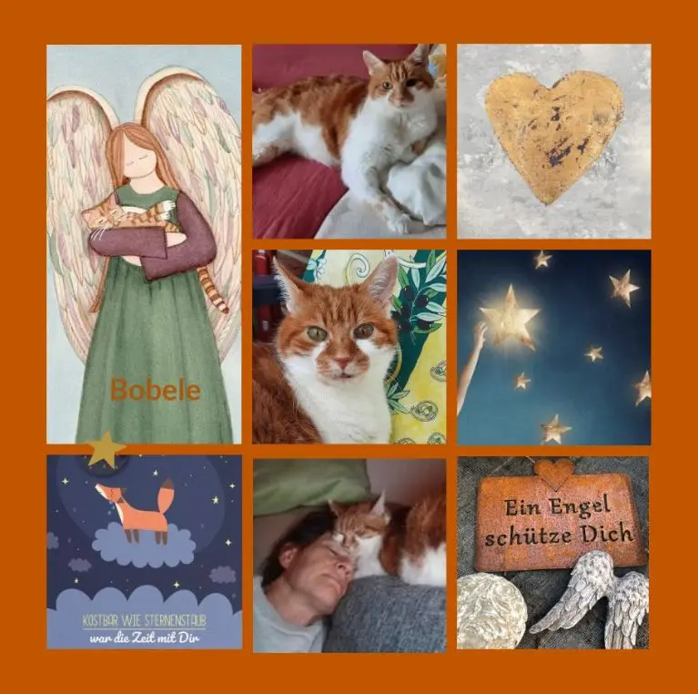 Condolence image of Sonntagsrosen für Bobele