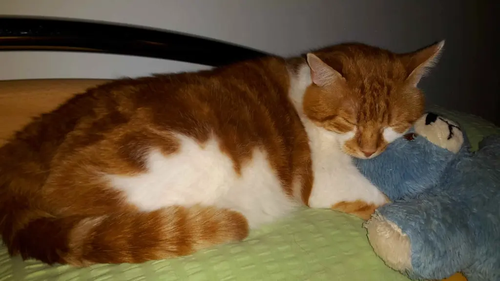 Condolence image of ❤️23 Wochen ❤️Deine Mami und deine Ömi ❤️