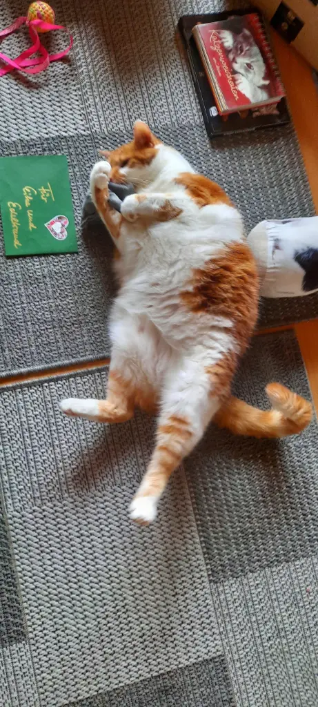 Condolence image of ❤️33 Wochen ❤️Deine Mami und deine Ömi ❤️ 