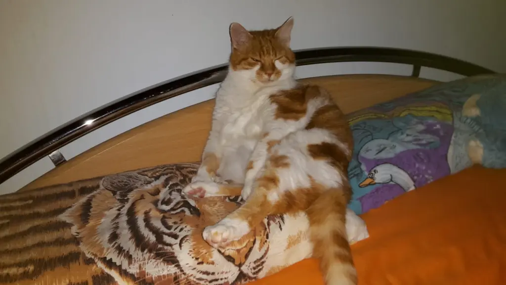 Condolence image of ❤️37 Wochen ❤️Deine Mami und deine Ömi ❤️ 