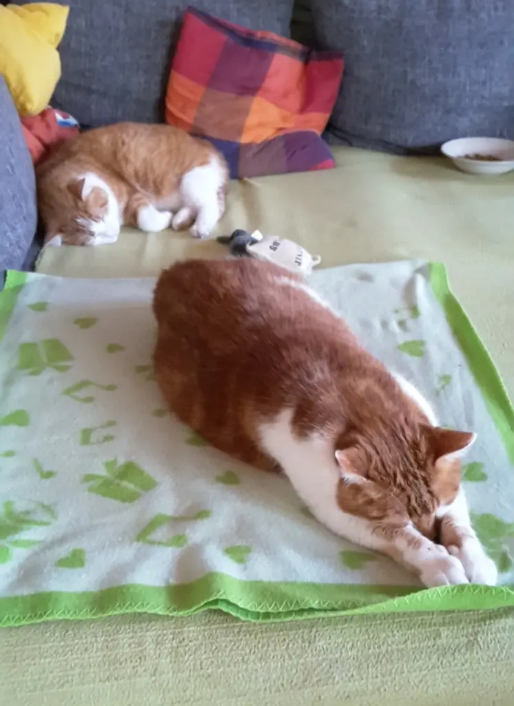 Condolence image of ❤️47 Wo❤️Deine Mami und deine Ömi ❤️