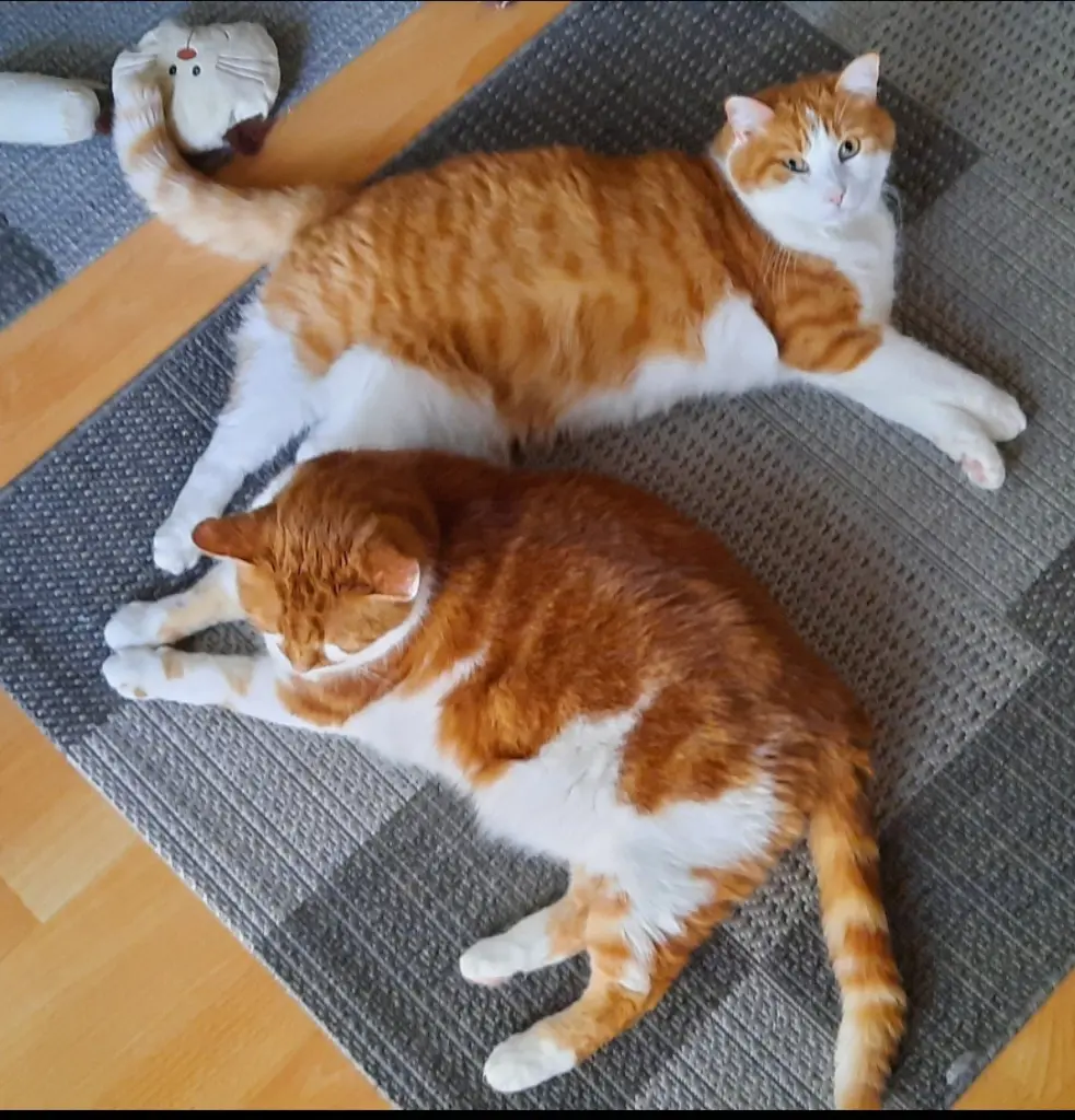 Condolence image of ❤️54 Wo❤️Deine Mami und deine Ömi ❤️