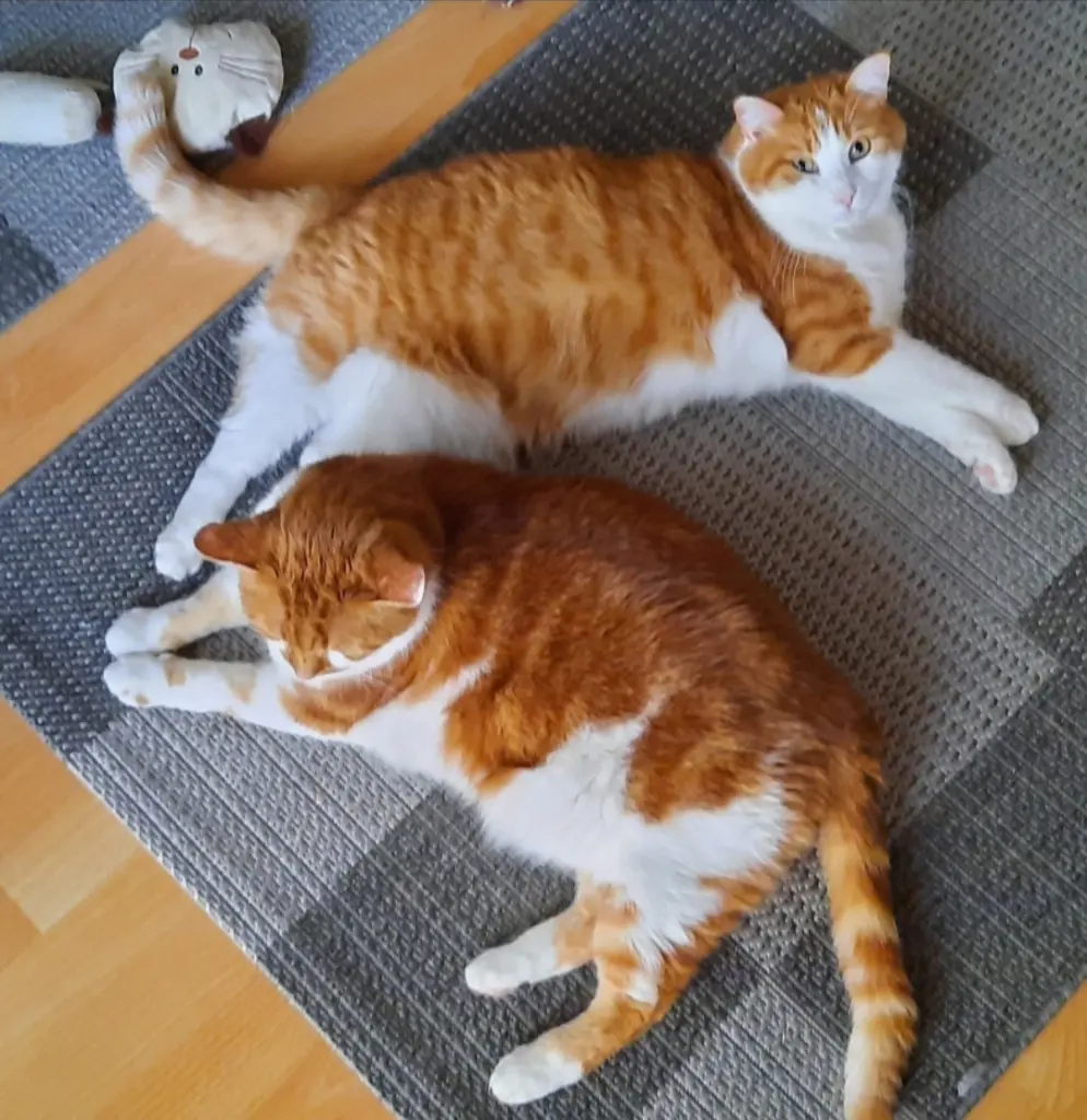 Condolence image of ❤️67 Wo❤️Deine Mami und deine Ömi ❤️
