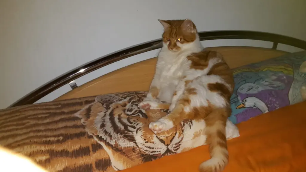 Condolence image of ❤️69 Wo❤️Deine Mami und deine Ömi ❤️