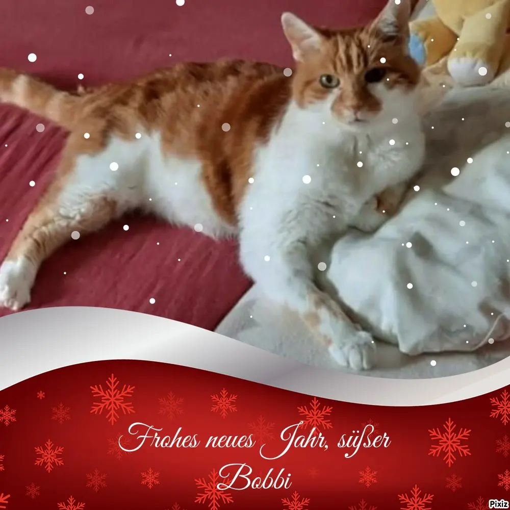 Condolence image of Tanja mit Timmy im Herzen 