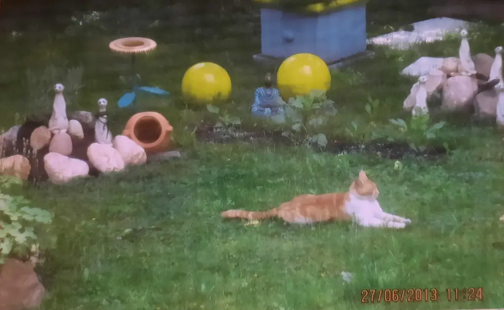 Condolence image of ❤️21 Mo❤️Deine Mami und deine Ömi ❤️
