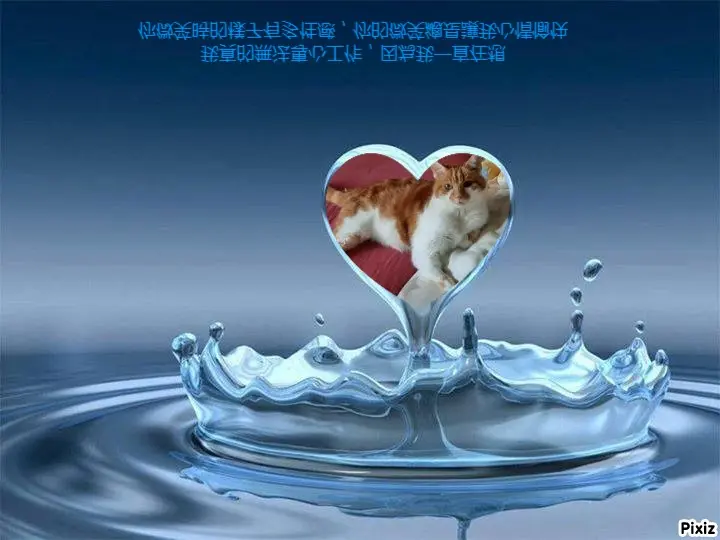 Condolence image of Tanja mit Timmy im Herzen