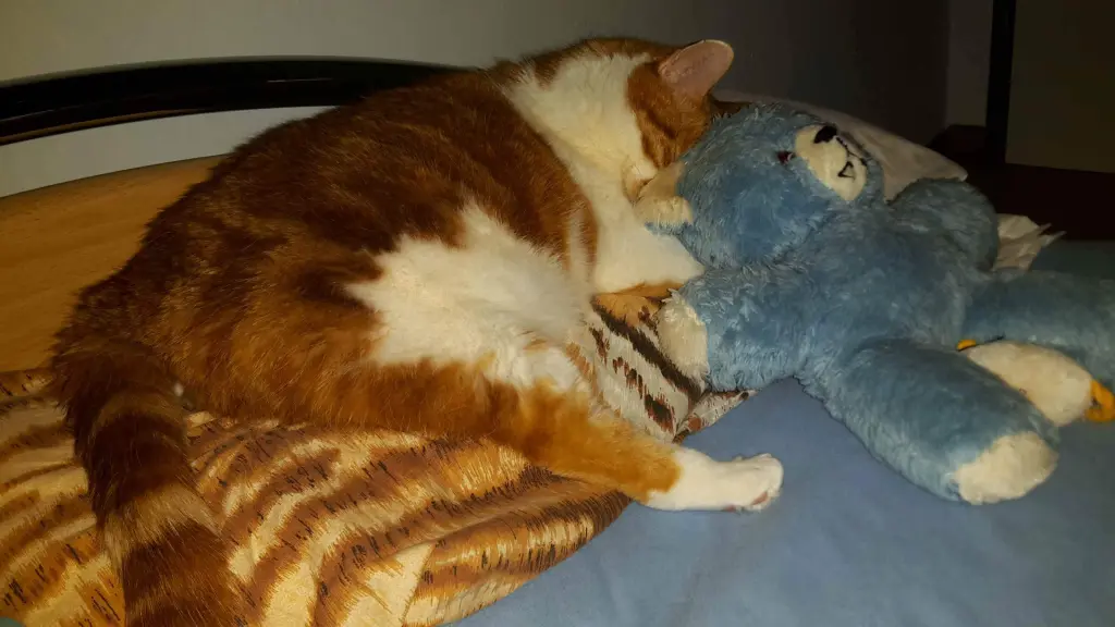 Condolence image of ❤️23 Mo❤️100 Wo❤️Deine Mami und deine Ömi ❤️
