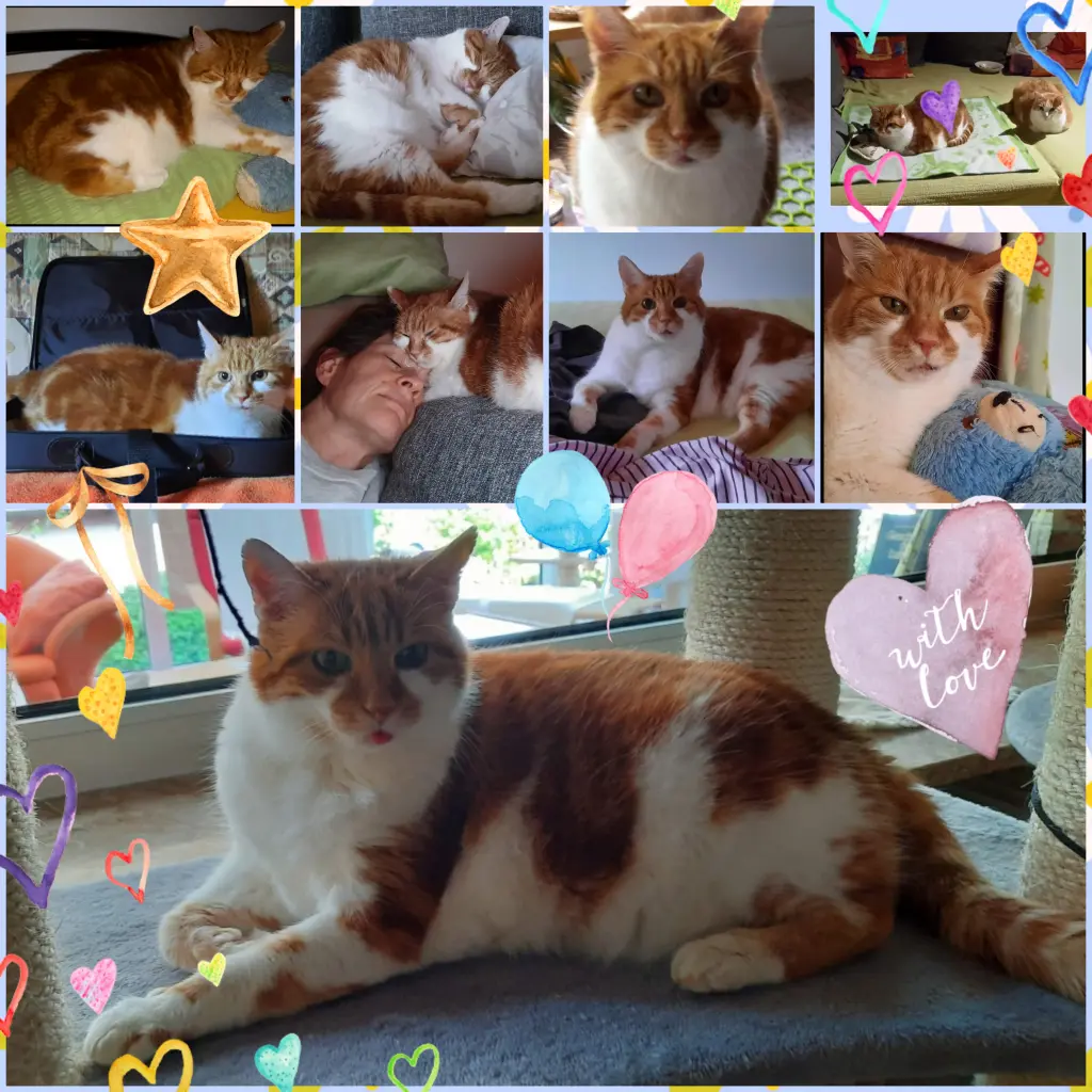 Condolence image of ❤️2 Jahre❤️Deine Mami und deine Ömi ❤️