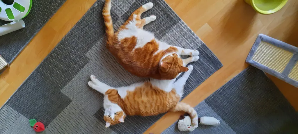 Condolence image of ❤️25 Mo❤️Deine Mami und deine Ömi ❤️