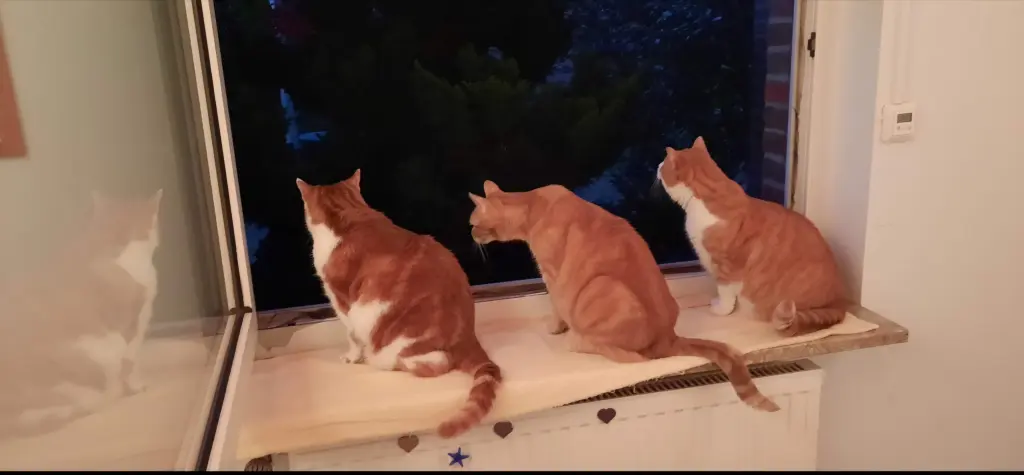 Condolence image of ❤️121 Wo ❤️Deine Mami und deine Ömi ❤️ 