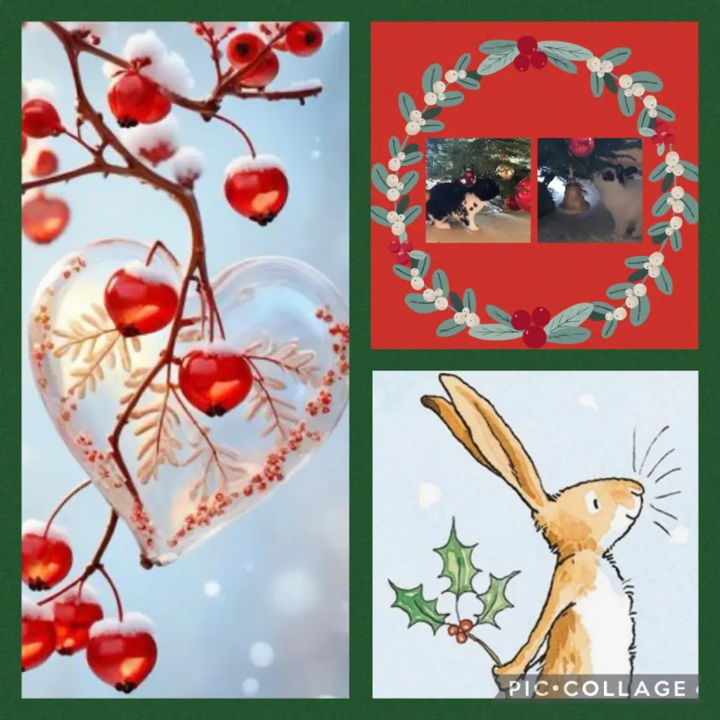 Condolence image of Grüße zum 1. Advent 