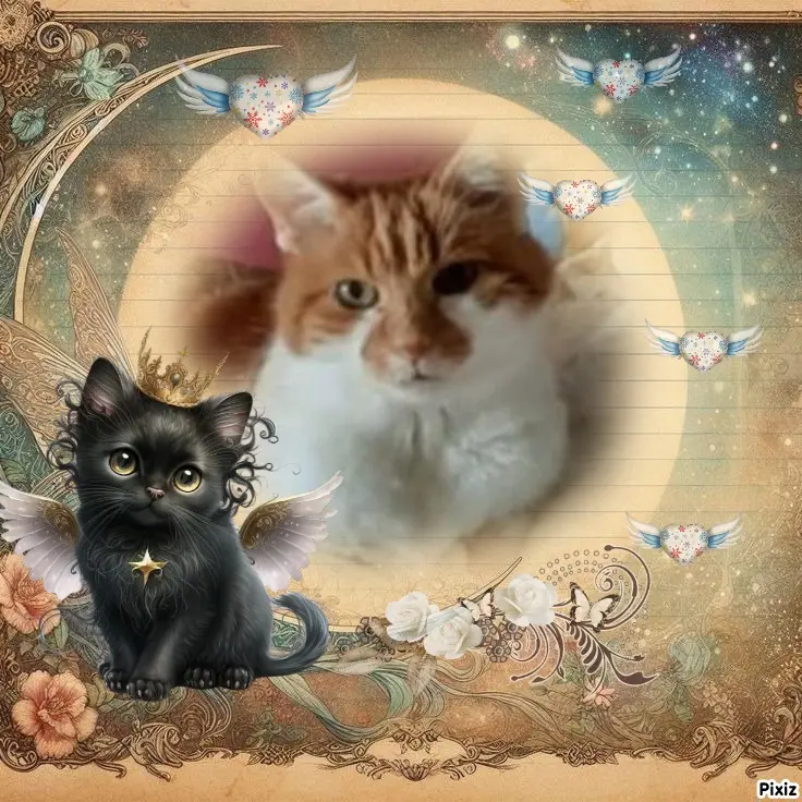 Condolence image of Tanja mit Timmy im Herzen