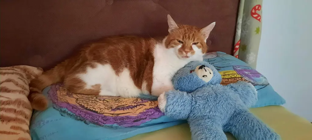 Condolence image of ❤️140 Wo ❤️Deine Mami und deine Ömi ❤️