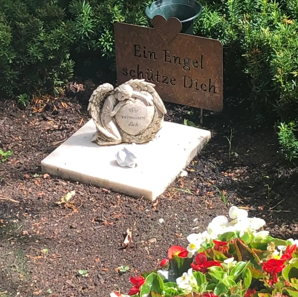Condolence image of Ein Sommerröschen für Bobele