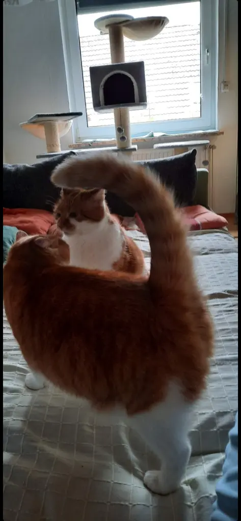 Condolence image of ❤️156 Wo❤️Deine Mami und deine Ömi ❤️ 