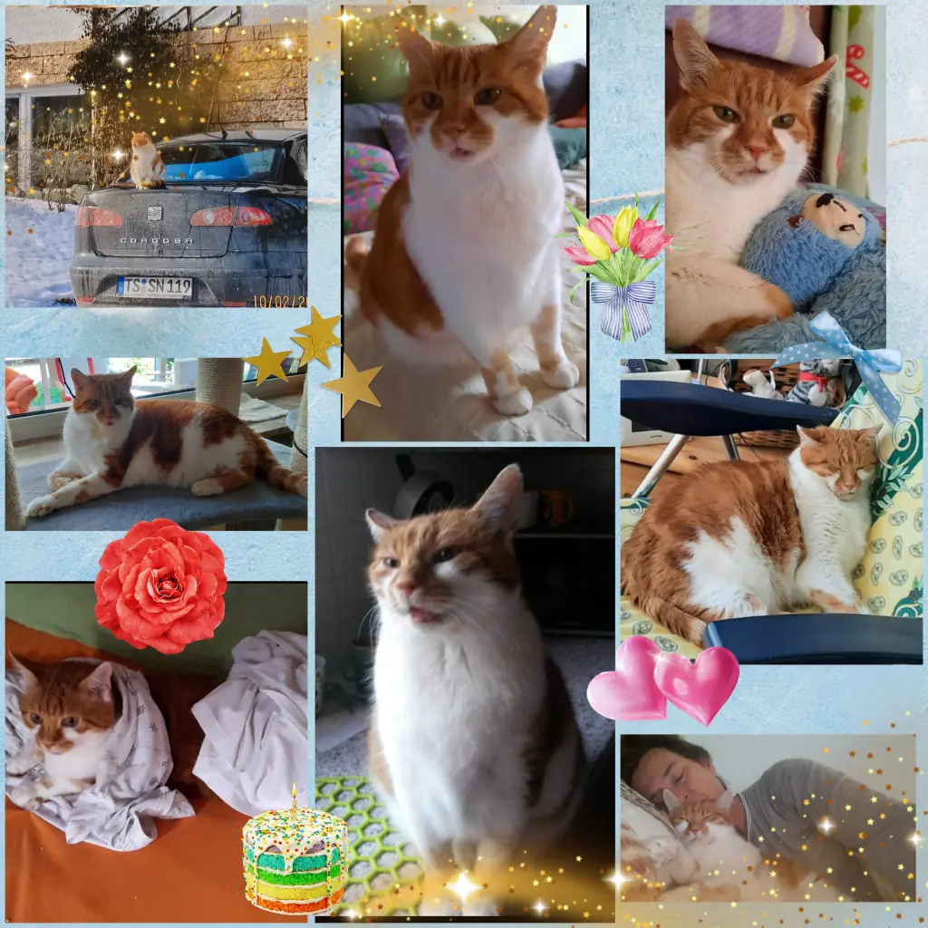 Condolence image of ❤️3.Sternchengeburtstag❤️Deine Mami und deine Ömi ❤️ 