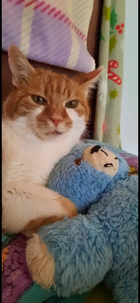 Condolence image of ❤️166 Wo❤️Deine Mami und deine Ömi ❤️