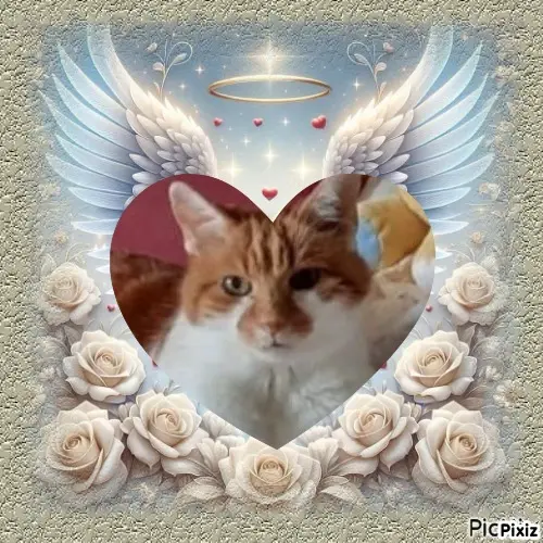 Condolence image of Tanja mit Timmy im 💘
