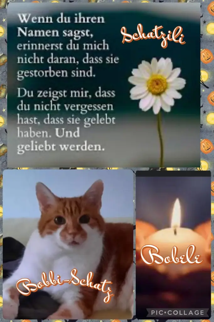 Condolence image of ❤️39 Mo❤️Deine Mami und deine Ömi ❤️